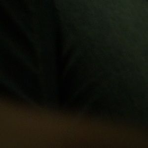 Meet your Posher, Rania